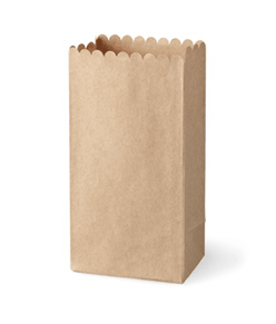 Stampin Up Canada Mini Lunch Sack
